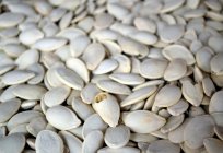 Nasiona dyni: korzyści i szkody dla organizmu
