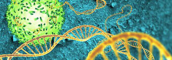 証拠の遺伝子の役割核酸の伝達
