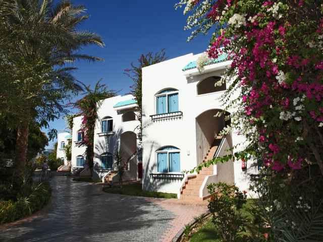 sultan gardens resort Sharm El Sheikh 5
