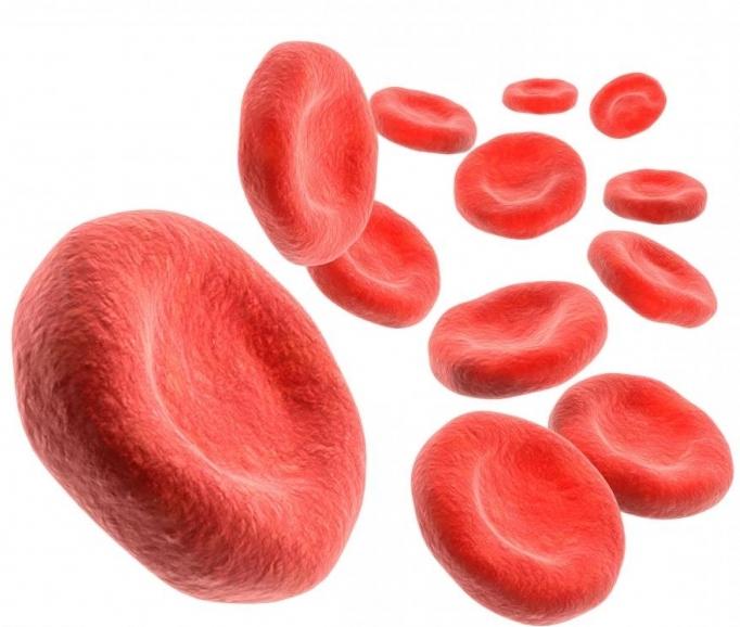 a taxa de hemoglobina no sangue em crianças