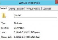 Czyszczenie WinSxS. Jak wyczyścić folder WinSxS?