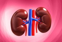 CRF: what is it? Signs of chronic renal failure