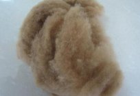 Camel wool pillow: customer and specialist reviews