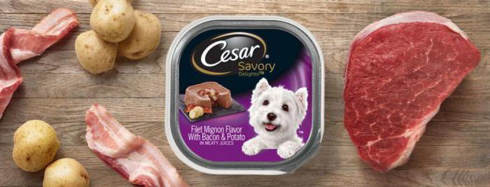 dog food Caesar in a bag