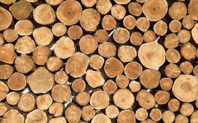 ЄДАІС обліку деревини Єдина державна автоматизована інформаційна система обліку деревини і угод з нею