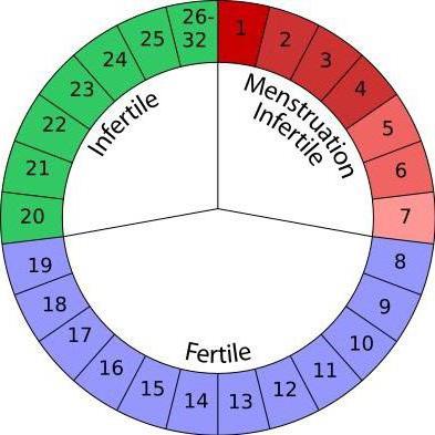 的保护方法怀孕