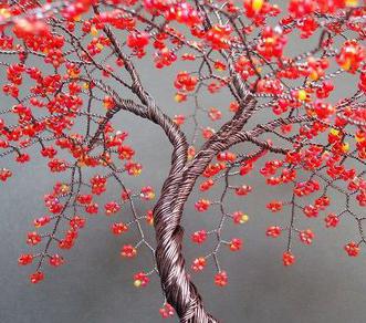 شجرة الحب حبة الصورة