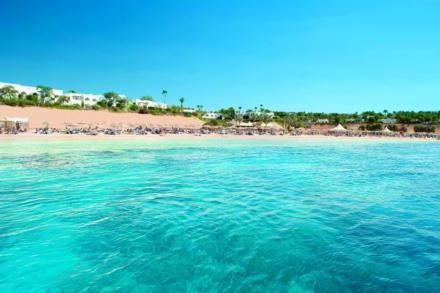 Sharm el sheikh Coral bay