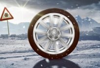 轮胎Champiro Icepro：所有者的评论