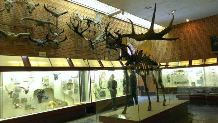 палеонтологический museu em moscou endereço de metro de preço