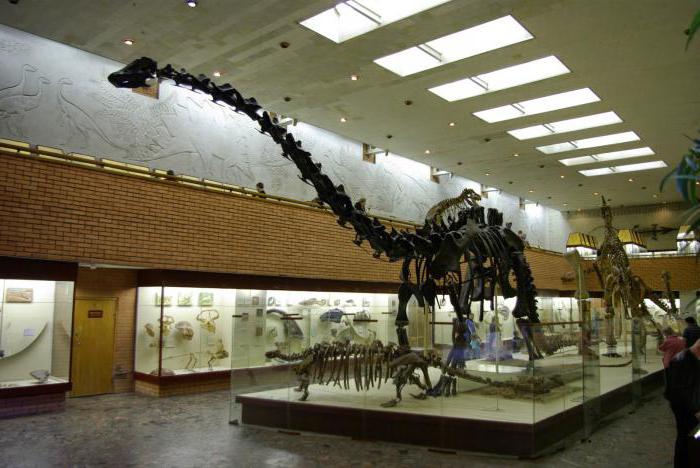 gdzie znajduje się muzeum paleontologiczne w moskwie adres
