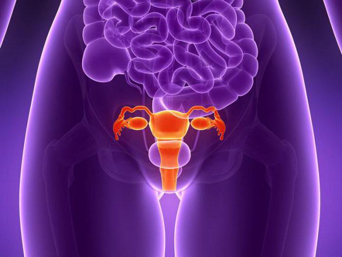 Prolapso uterino, los síntomas y el tratamiento, los clientes