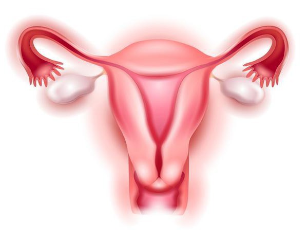 se Inclinando do útero após o parto, sintomas e tratamento