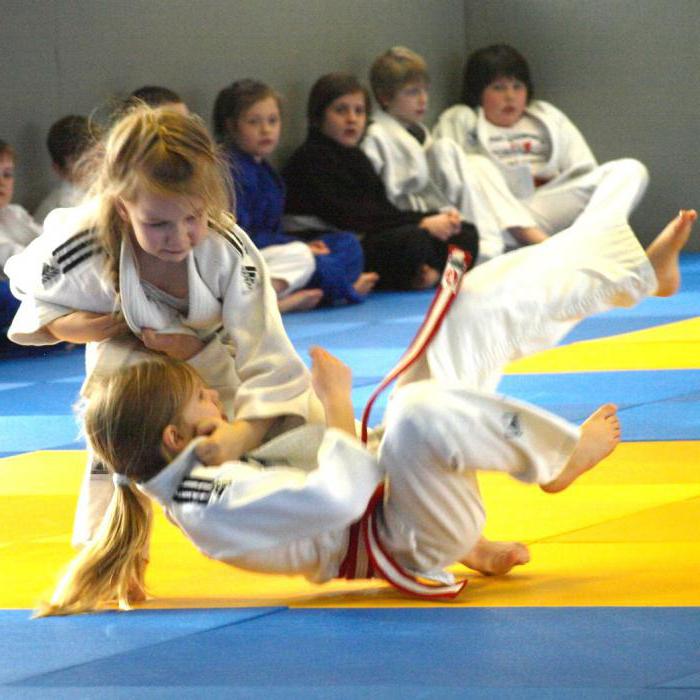 Children's school of judo