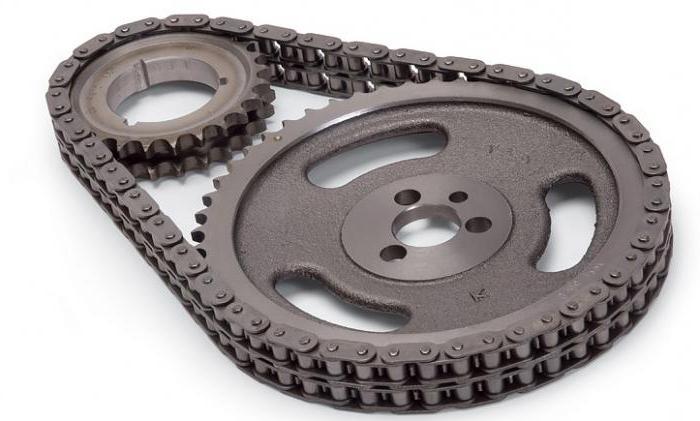 timing chain or belt