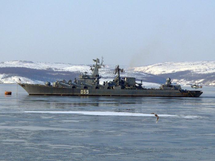 导弹巡洋舰项目1164乌斯季诺夫元帅
