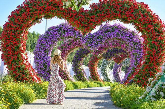 奇跡庭園UAE