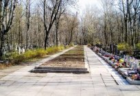 Kinoveevskoe cemetery in St. Petersburg: how to get address and phone of administration