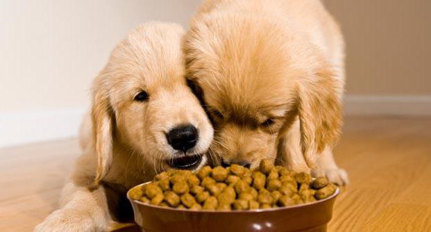 la composición de los alimentos грандорф para perros