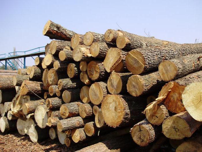 los recursos de la madera