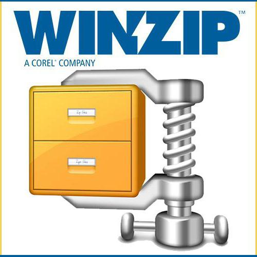 如何提取的文件zip archive与密码