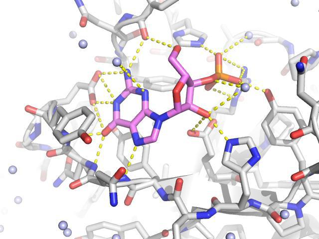 分子氢键的例子