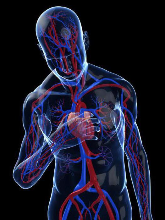 心臓不整脈の分類