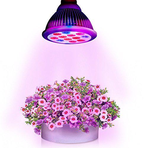 led-Lampe für Pflanzen Bewertungen