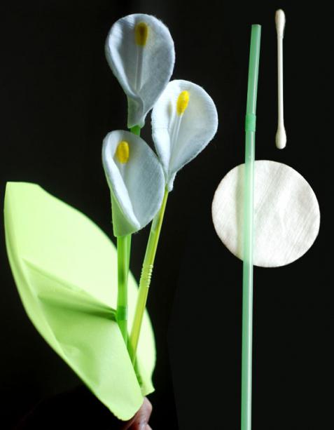 la flor de algodón, de discos