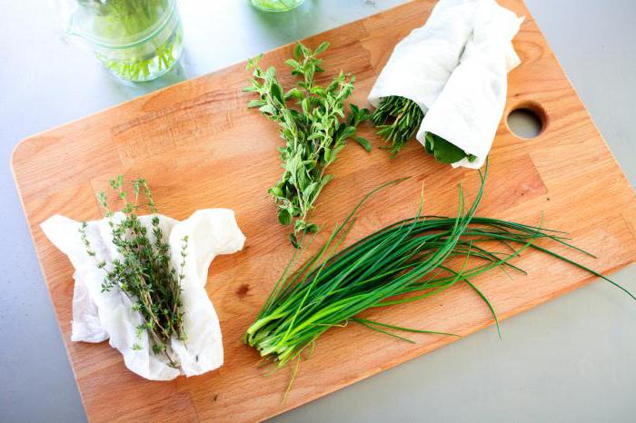 how to keep cilantro fresh for winter