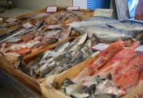 Donde el mejor mercado de pescado en rusia?