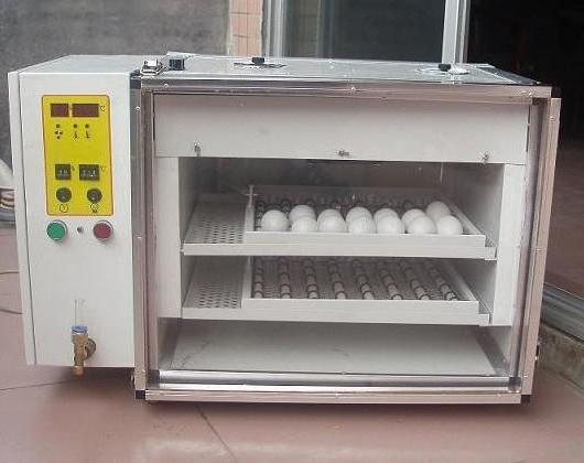 la incubadora con control automático de la revuelta de los huevos