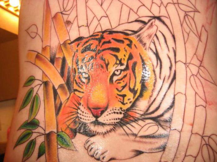 टैटू का एक शेर मेरे कंधे पर