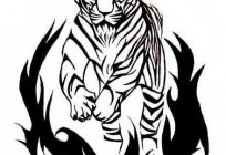 Tatuaż tygrysów: starożytnych wierzeń i nowoczesne szkice