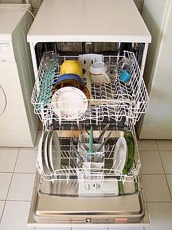 what the dishwasher is good