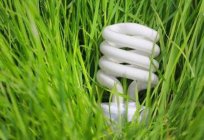 Economia de energia (CFL) lâmpada