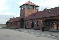 集中营的纳粹作为一种工具的系统