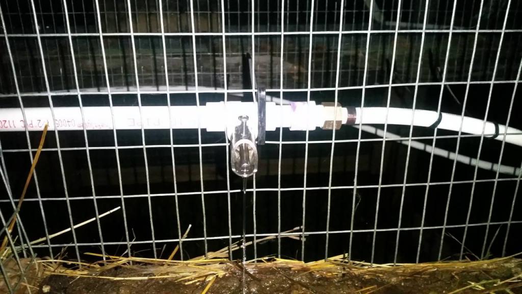 Automatic waterers for rabbits