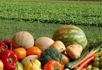 Agribusiness - ist ein wesentlicher Bestandteil der heimischen Wirtschaft