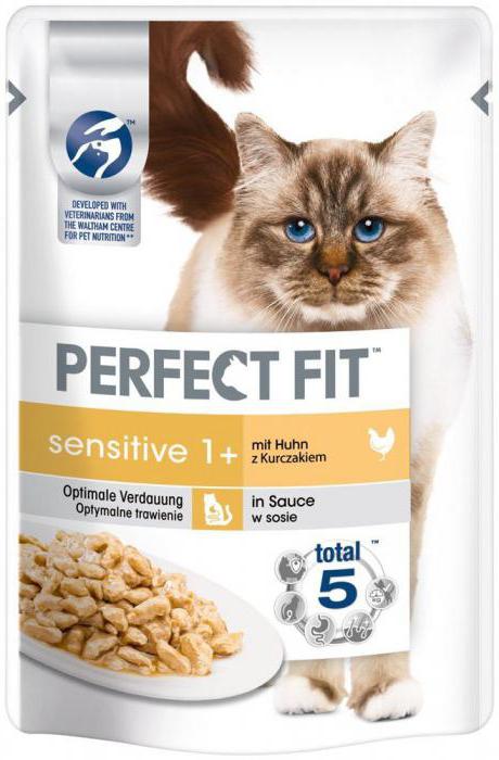 das beste Futter für Katzen mit sensible Verdauung
