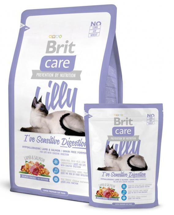 húmedo alimento para gatos con digestión sensible