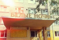 Готель «Білі Ночі» (Санкт-Петербург): сервіс, апартаменти і ціни