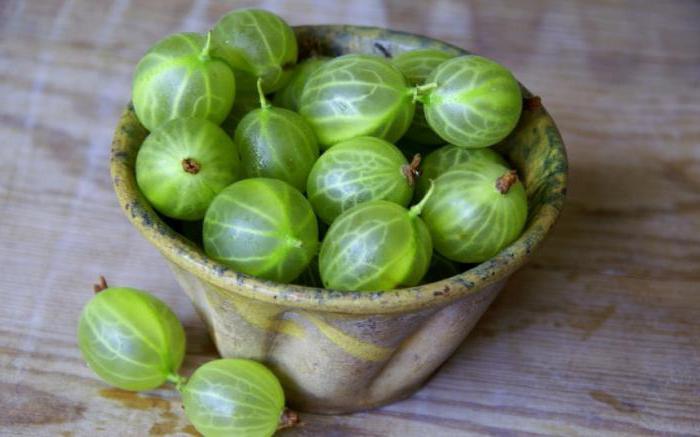 is it possible to transplant a gooseberry