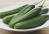 Parthenocarpic varieties of cucumbers: properties and characteristics