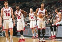 Chicago Bulls: a história, a tradição, a composição
