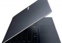 笔记本电脑：评价。 最流行的品牌和他们的特点