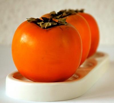 the benefits of persimmons for the organism