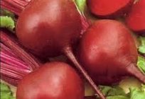 Useful properties of beet and contraindications: what do we know about this?