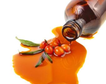 How to make sea buckthorn oil in home conditions