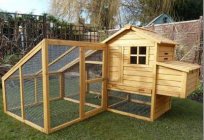 How to build a house for chickens?